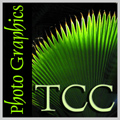 TCC DPG Logo